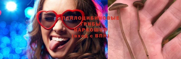 spice Магадан