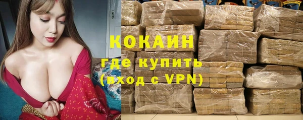 тгк Магас