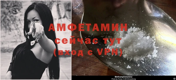 гашик Мегион