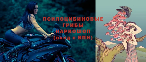 ешки Медногорск
