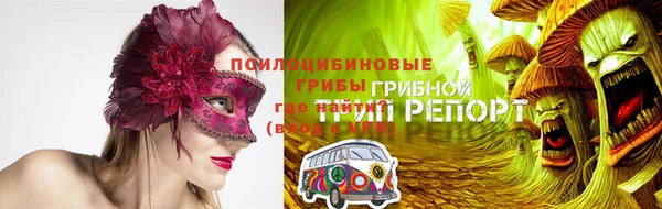 тгк Магас