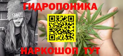 трава Балахна