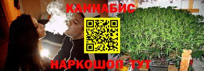 молекула духа Заводоуковск