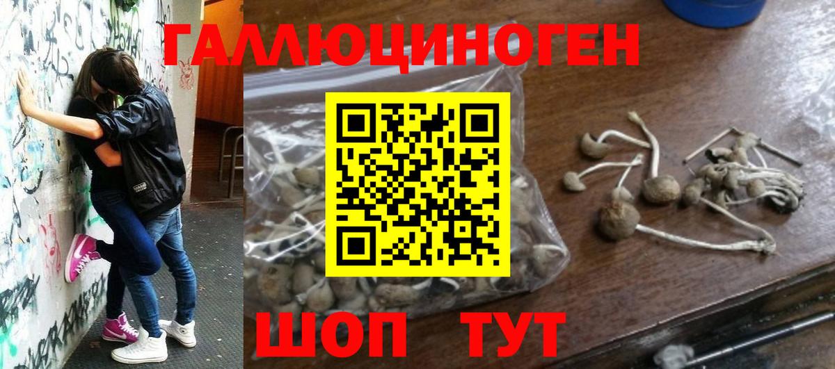 Галлюциногенные грибы Magic Shrooms  Галлюциногенные грибы Magic Shrooms  Вход с VPN  Лангепас 