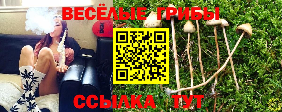 Псилоцибиновые грибы Magic Shrooms Лангепас